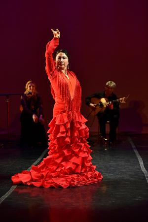 Compania Chuscales Presents MEMORIES OF DONA TULES - A Flamenco Tribute Image