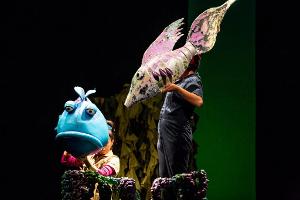 TheaterWorksUSA To Launch Los Angeles Hub With THE POUT-POUT FISH, September 22  Image