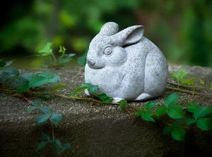 Stories On Stage Presents Kelly Link's STONE ANIMALS Next Month Image