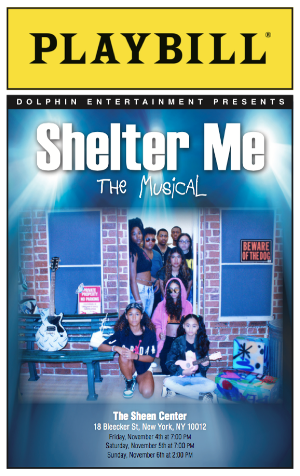 SHELTER ME, THE MUSICAL Comes to The Sheen Center 