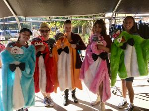 Sd Junior Theatre Announces SDJT Auxiliary's Costume Sale Image