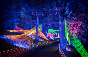 LA Arboretum's LIGHTSCAPE Set To Debut Stunning New Immersive Installations Image