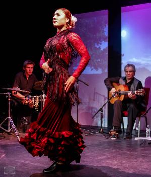 Compañia Chuscales & Mina Fajardo and Teatro Paraguas to Present HOLIDAY FLAMENCO in December Image