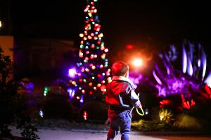 Celebrate The Holidays With Casa Romantica, San Clemente's Premier Art Destination Image