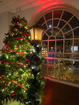 Franklin County to Host FESTIVAL OF TREES Beginning This Month Image