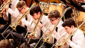 The Irish Association of Youth Orchestras Returns To The National Concert Hall Saturday, February 11  Image