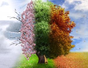 Long Beach Symphony Presents Vivaldi's Four Seasons and Mozart's Symphony No. 40 In G Minor in February Image