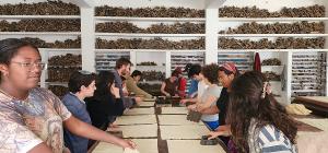RISD and DirectCreate Join Forces For Cultural Collaboration in India Image