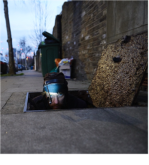 Kim Noble Returns To Soho Theatre With LULLABY FOR SCAVENGERS Image
