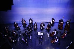 La Orquesta De Cámara De Bellas Artes Finalizó Primer Ciclo De Conciertos Inclusivos En La Ciudad De México  Image