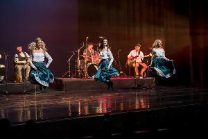 State Theatre New Jersey Presents DUBLIN IRISH DANCE  Image