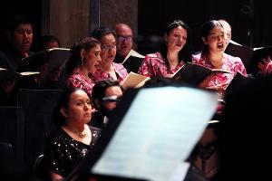 La Orquesta Sinfónica Nacional Rememora A La Violinista Erika Dobosiewicz Image