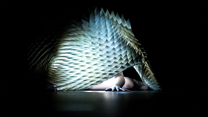 Assembly Festival and Dance Base Reveal Programme For This Year's Fringe Image