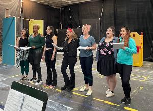 MNM Theatre Company's DISENCHANTED Opens Next Week at The Kravis Center Image