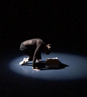 Teatro Paraguas Presents NIGHT SHADE, A Dance Dreamscape 