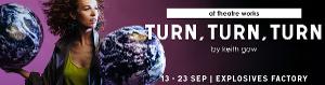 New Play TURN, TURN, TURN Opens At Theatre Works In September 