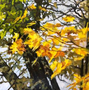 EXTRAORDINARY ORDINARY Landscapes and Portraits by Molly Hawley In the Jackson Gallery at Town Hall Theater  Image