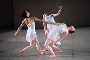 North Shore Civic Ballet Opens Annual Holiday Auction To Train A New Generation Of Dancers Image
