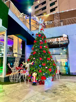 Shop From 20+ Small Businesses, Enjoy Live Music, Kids Crafts And More At STC GardenWalk's Christmas Market 