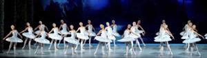 SWAN LAKE Comes To The UIS Performing Arts Center, March 22 