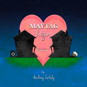 Williamston Theatre Kicks Off 2024 With Romantic Comedy MAYTAG VIRGIN Image