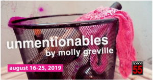 Boston-Based Young Women Artists Bring UNMENTIONABLES To Space 55 Image
