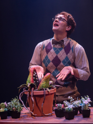 LITTLE SHOP OF HORRORS Returns To Mac-Haydn Image