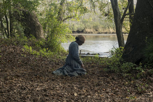 Harriet Tubman Movie Spurs Renaming Of Virginia Inside Passage  Image