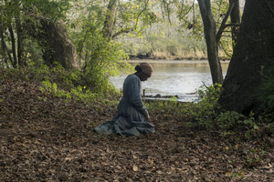 Harriet Tubman Movie Spurs Renaming Of Virginia Inside Passage Image