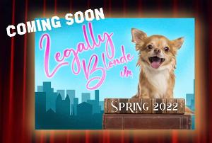 Audition Now for LEGALLY BLONDE JR. in Orlando 