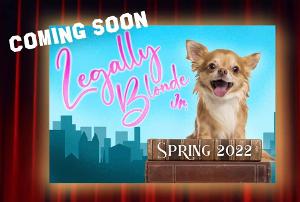 Audition Now for LEGALLY BLONDE JR. in Orlando Image
