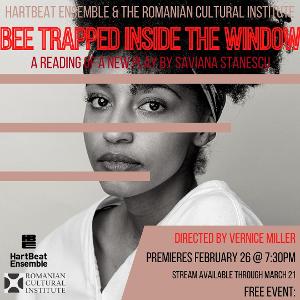 IASNY Presents Saviana Stanescu's BEE TRAPPED INSIDE THE WINDOW on Demand Image