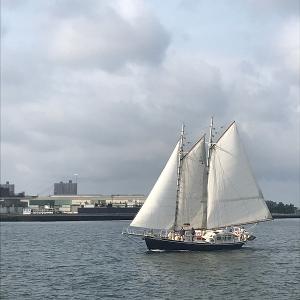 The South Street Seaport Museum Schooner Apollonia Full Season And Boat Box Program Image