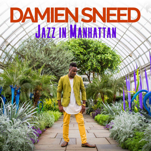 Damien Sneed Releases New CD, JAZZ IN MANHATTAN Image