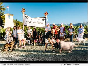 Star Vintners And Top Innovators In Food And Wine Take The Stage At 9th Annual WineaPAWlooza Image