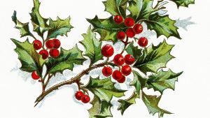 The Gift Of Art: Robin Jess Botanical Illustration Workshop  Image