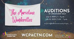 Auditions Announced for THE MARVELOUS WONDERETTES at The Williamson County Performing Arts Center  Image