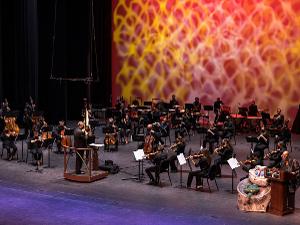 Kravis Classroom Connection Hosts ONE SMALL STEP with Palm Beach Symphony & Demetrius Klein Dance Company Image