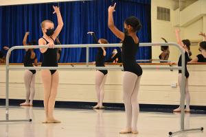 Tuition-Free Classes Available For New Orleans Youth Through NOBA Image