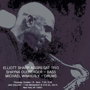 Elliott Sharp's Aggregat Trio To Perform At Jazz Gallery, October 19 