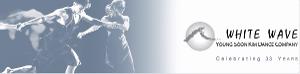 White Wave Dance Now Accepting Applications For 22nd Annual DUMBO Dance Festival Image