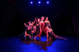 Arts On Site Presents Barkin/Selessin Project This Month Image