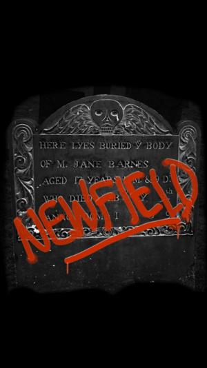 Kate Baldwin and More To Star In New Scripted Podcast NEWFIELD Image