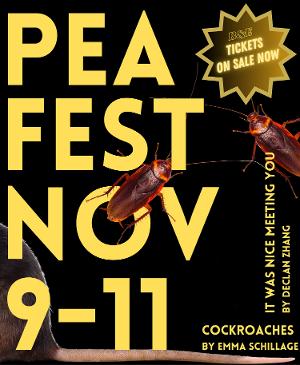 Breaking & Entering Theatre Collective To Present PEA FEST 2023 