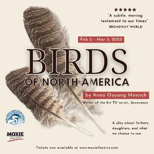 MOXIE Theatre Presents BIRDS OF NORTH AMERICA Image