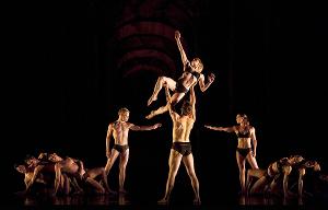 Paul Taylor Dance Company to Celebrate Their Founder On December 13 At Adelphi Performing Arts Center  Image