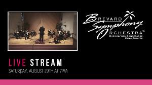 Brevard Symphony Orchestra Presents STREAMING STRINGS Orchestra Performance Image