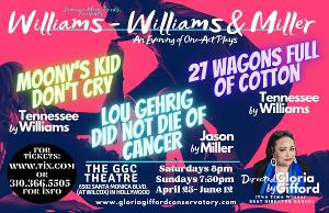 WILLIAMS-WILLIAMS & MILLER Opens April 30 At Gloria Gifford Conservatory 