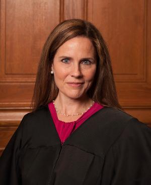 Remote Partners With The Magic And The Marsh To Look At Roe V. Wade with THE CHOICE Image