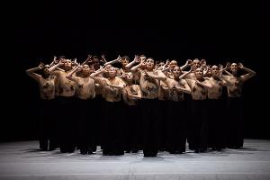 David Hallberg Joins The Cast In The Australian Ballet's KUNSTKAMER Live-Streamed Globally, June 10 Image